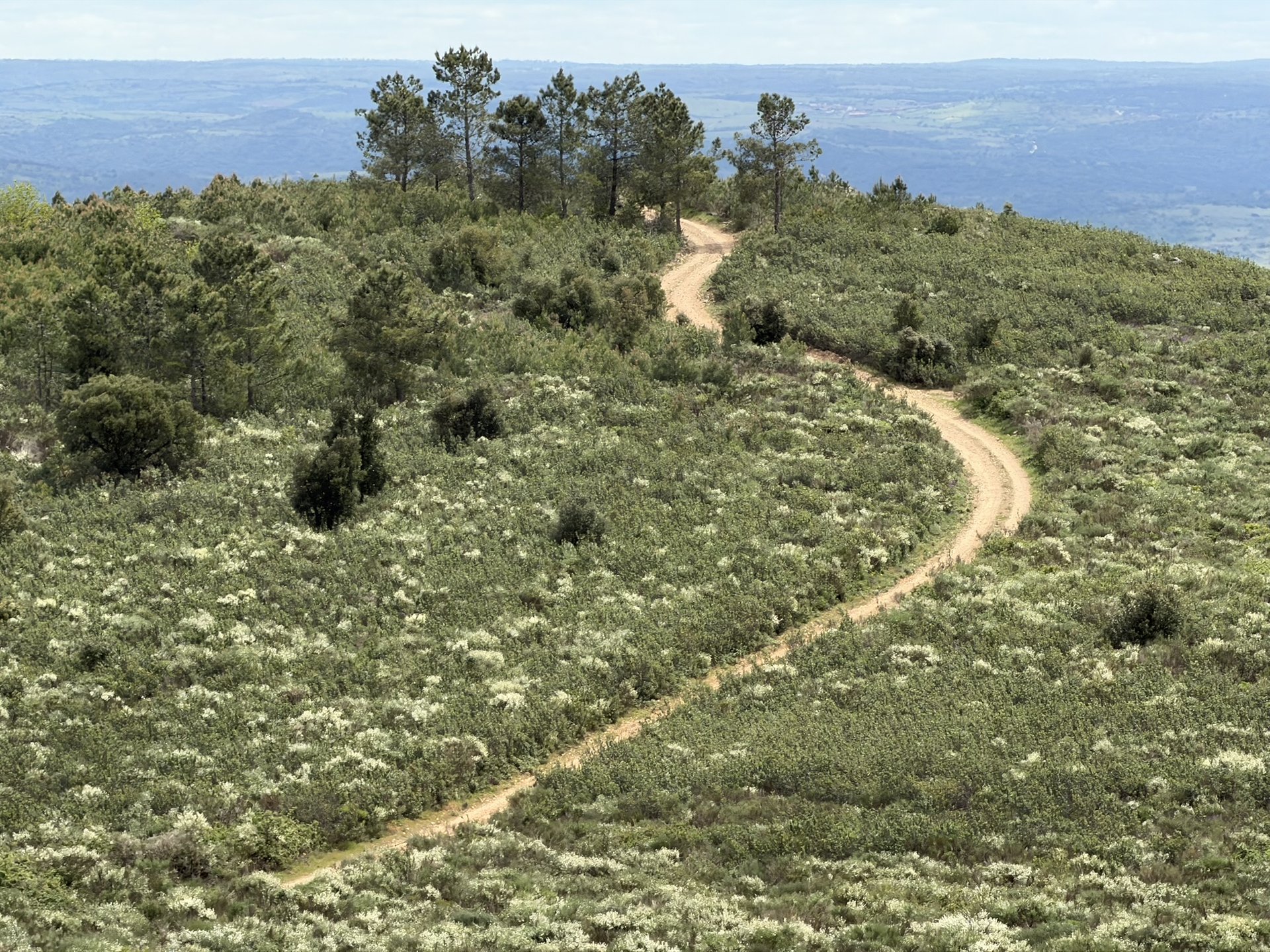 Singletrack über den Grat