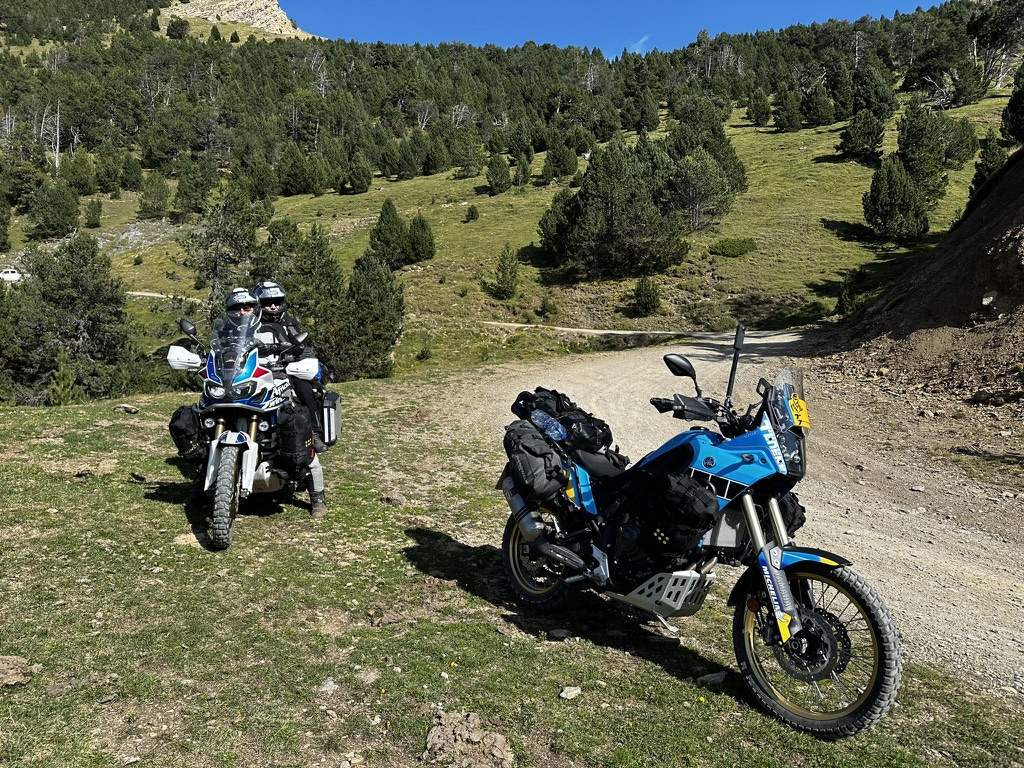 Die Crew im Pinienwald