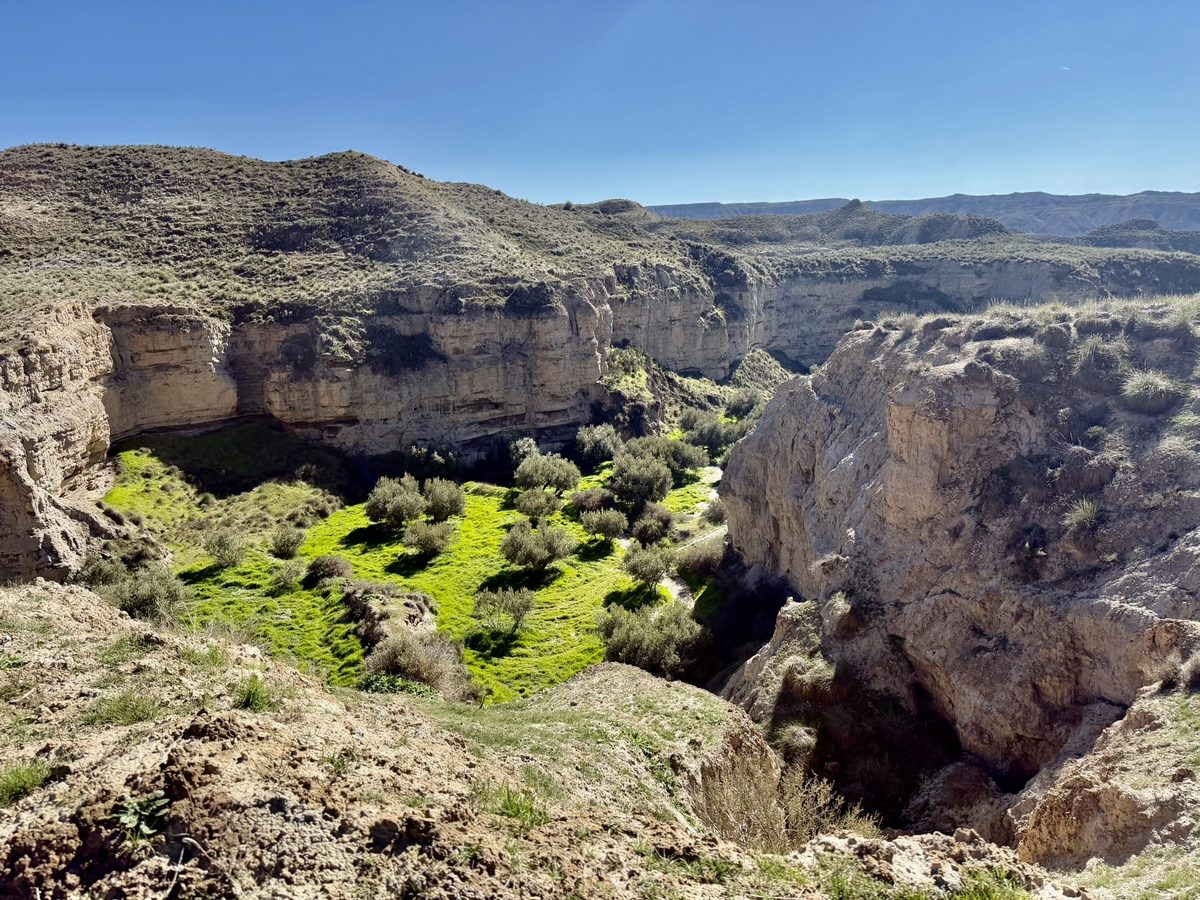 Grüner Canyon von oben