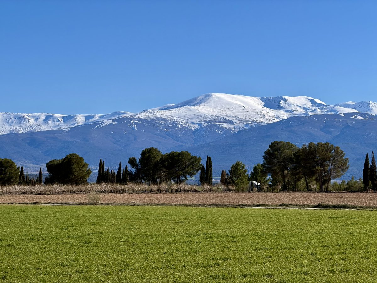 Sierra Nevada Panorama