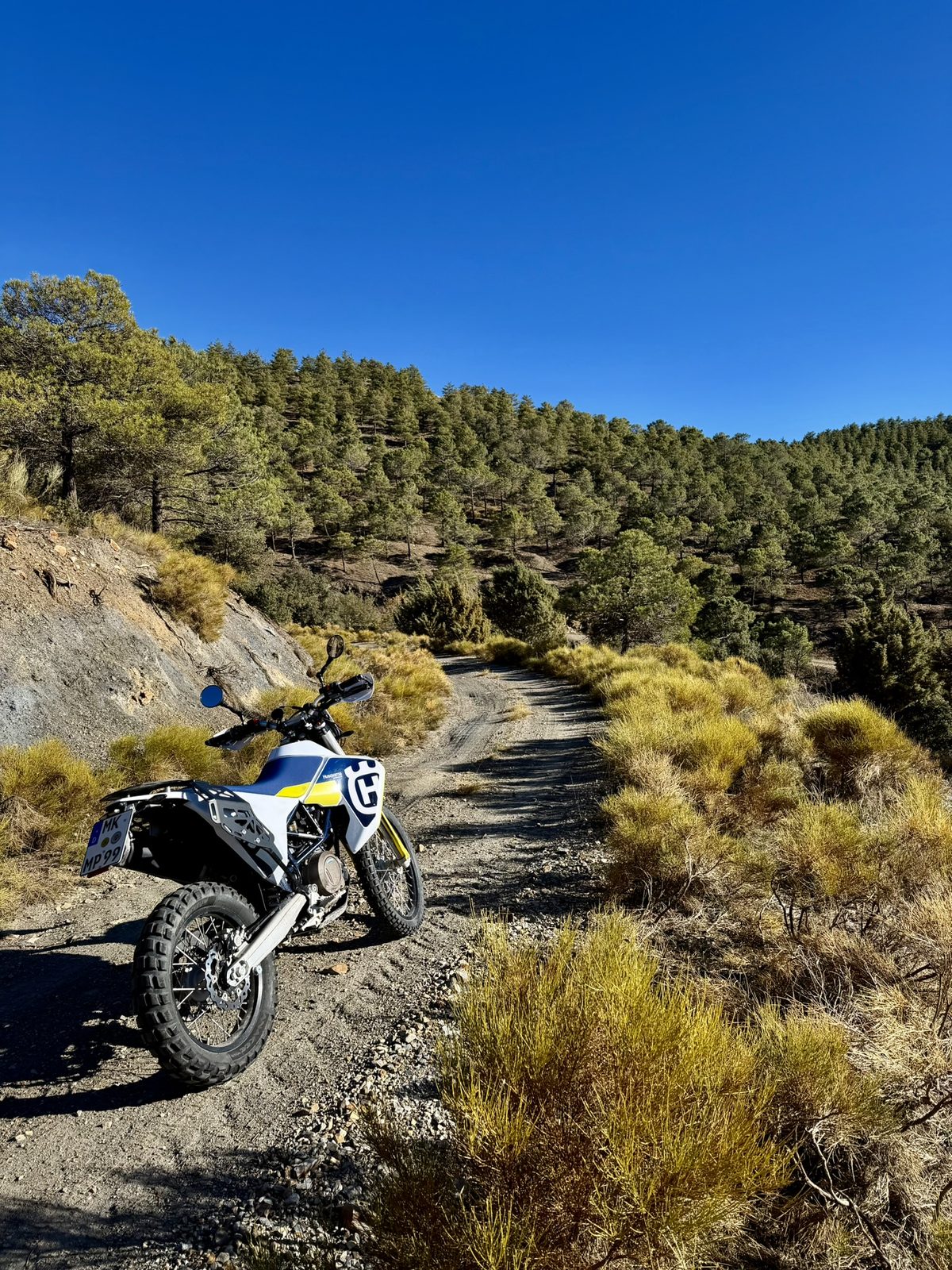 Husqvarna Waldpfad